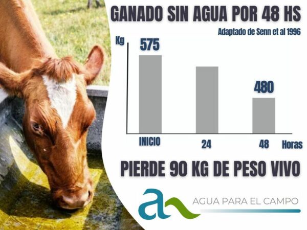 Ganado sin agua por 48 hs